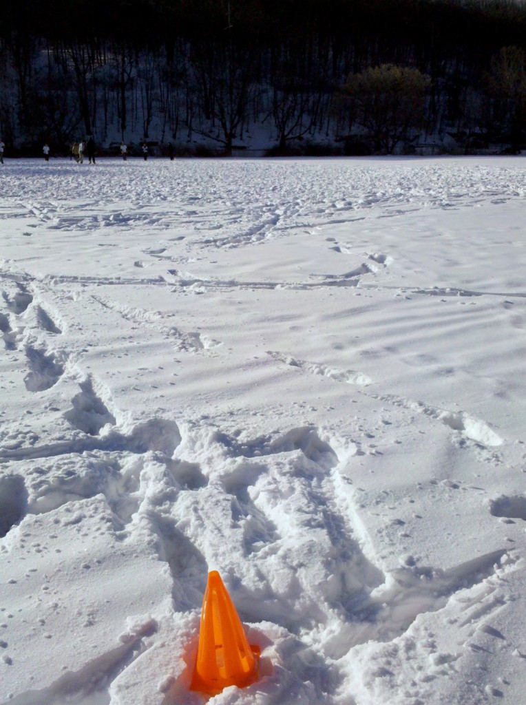 Snowltimate is common in New York City.