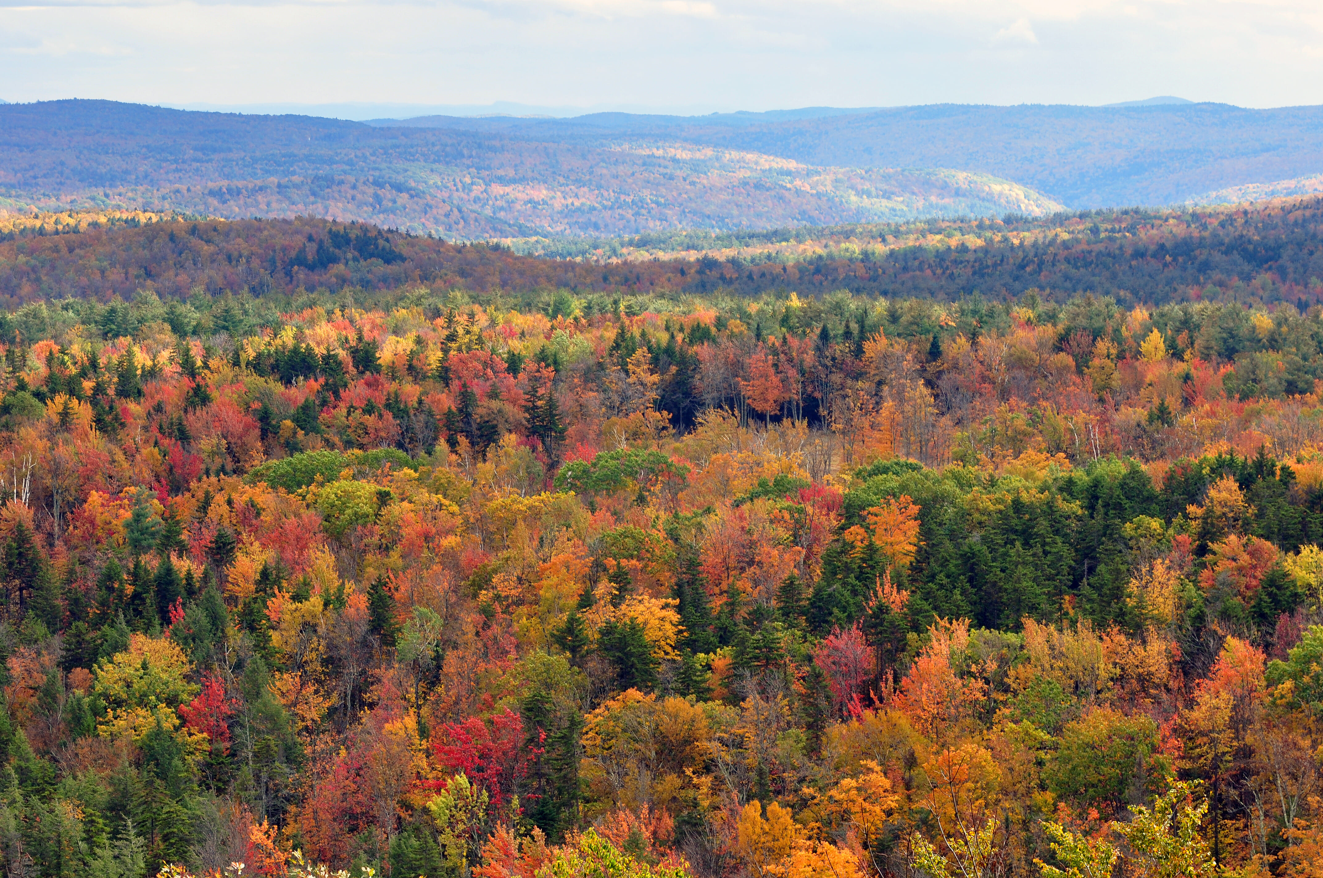 Fall colors in Vermont, the home of West New England Sectionals.