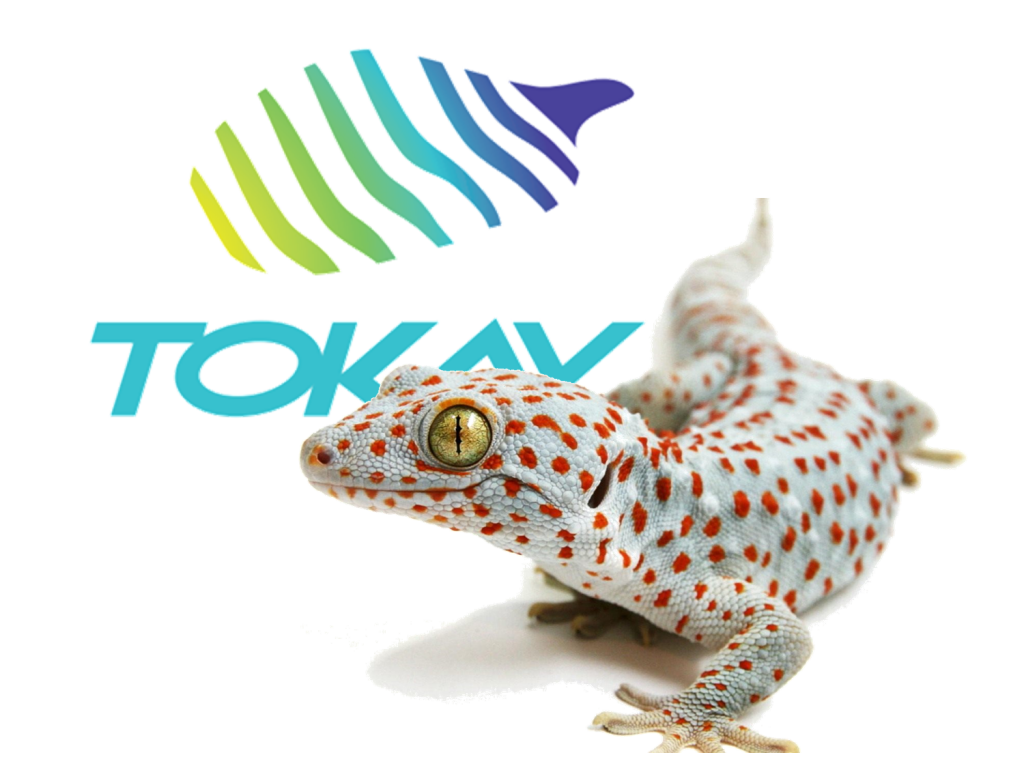 Tokay logo