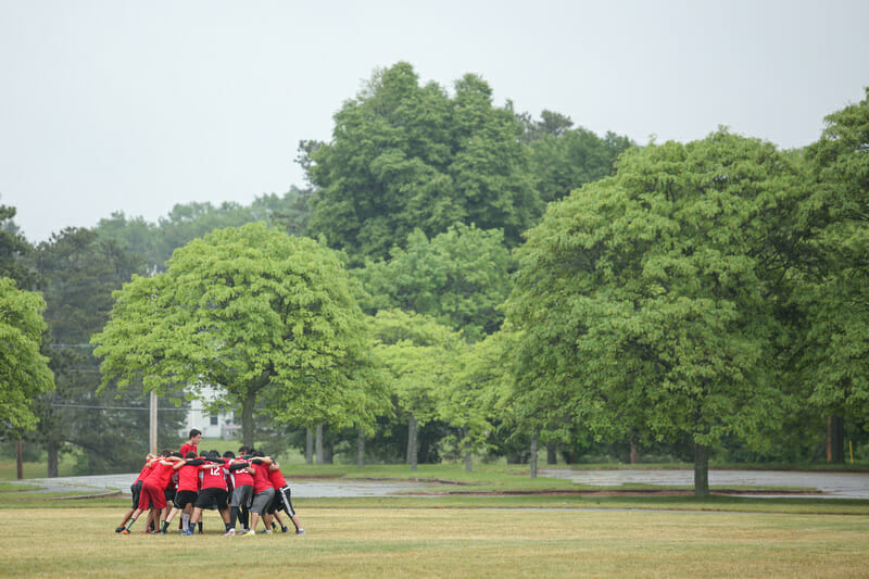 Photo: Paul Rutherford -- UltiPhotos.com