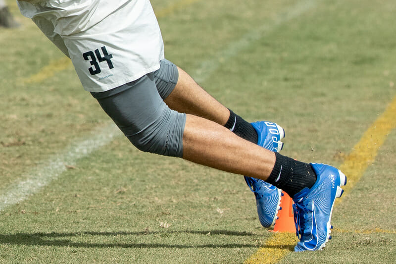 Sometimes the camera perfectly catches the spot. Photo: Rodney Chen -- UltiPhotos.com