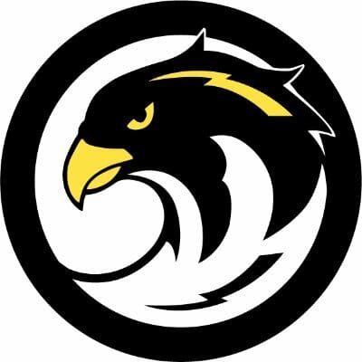 Bay Area Falcons - Team News, Stats, History & More - Ultiworld