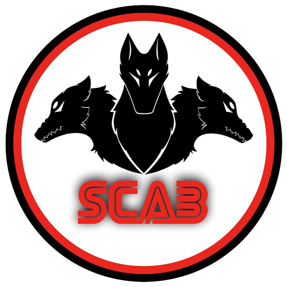 Santa Clara Team News, Stats, History & More Ultiworld