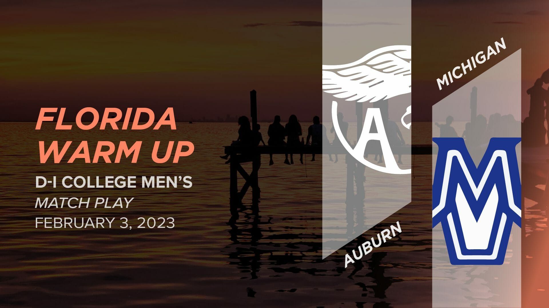 Auburn Vs Michigan