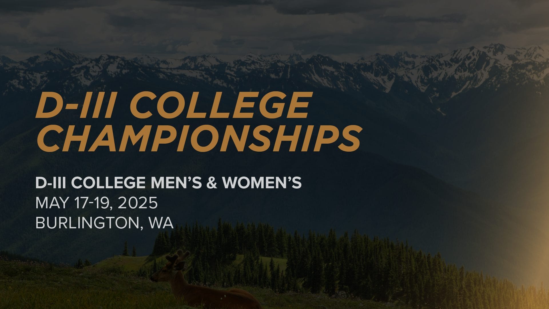 2025 DIII College Championships Event News, Stats, Schedule & More
