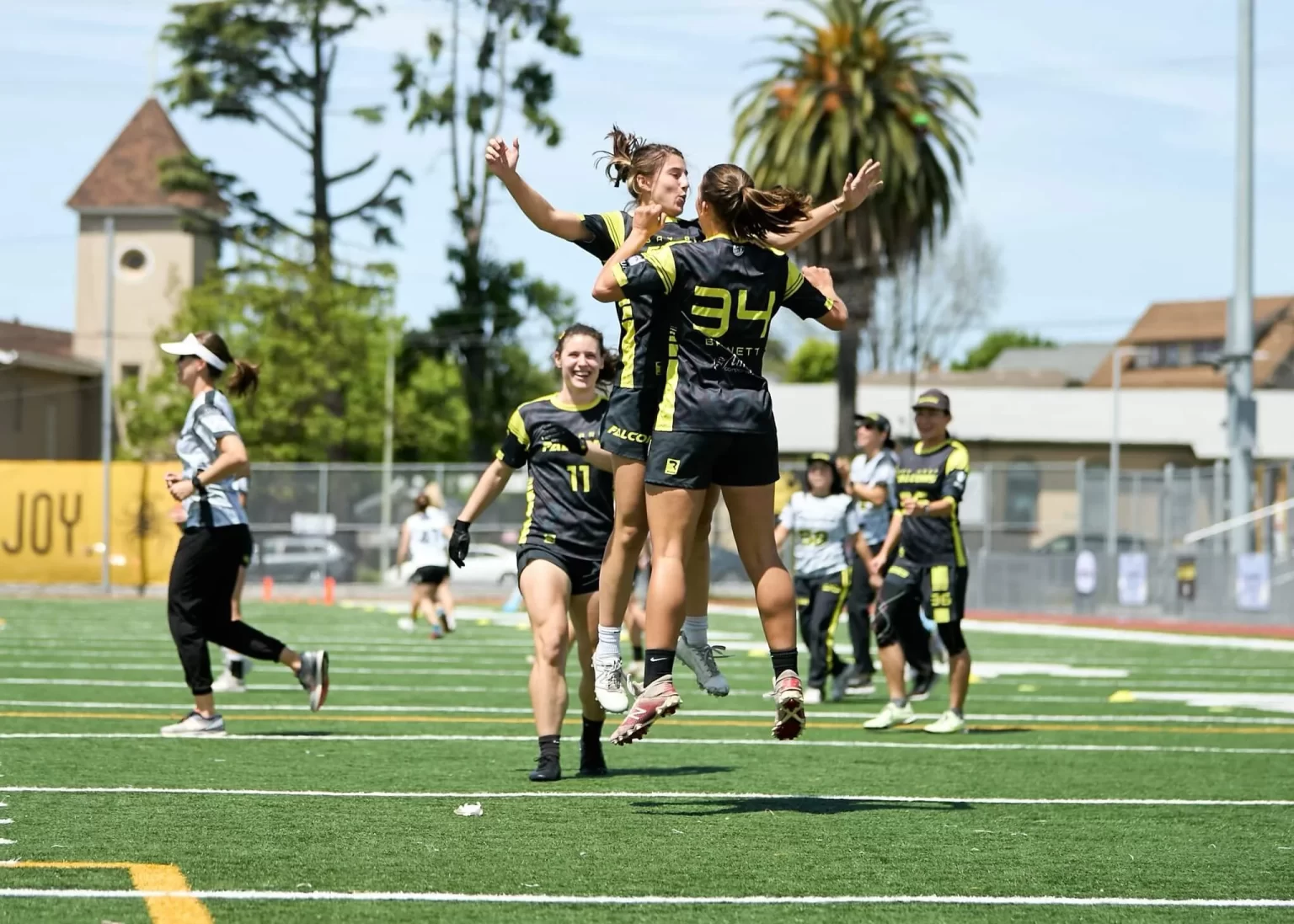 Bay Area Falcons